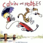 Calvin & Hobbes book